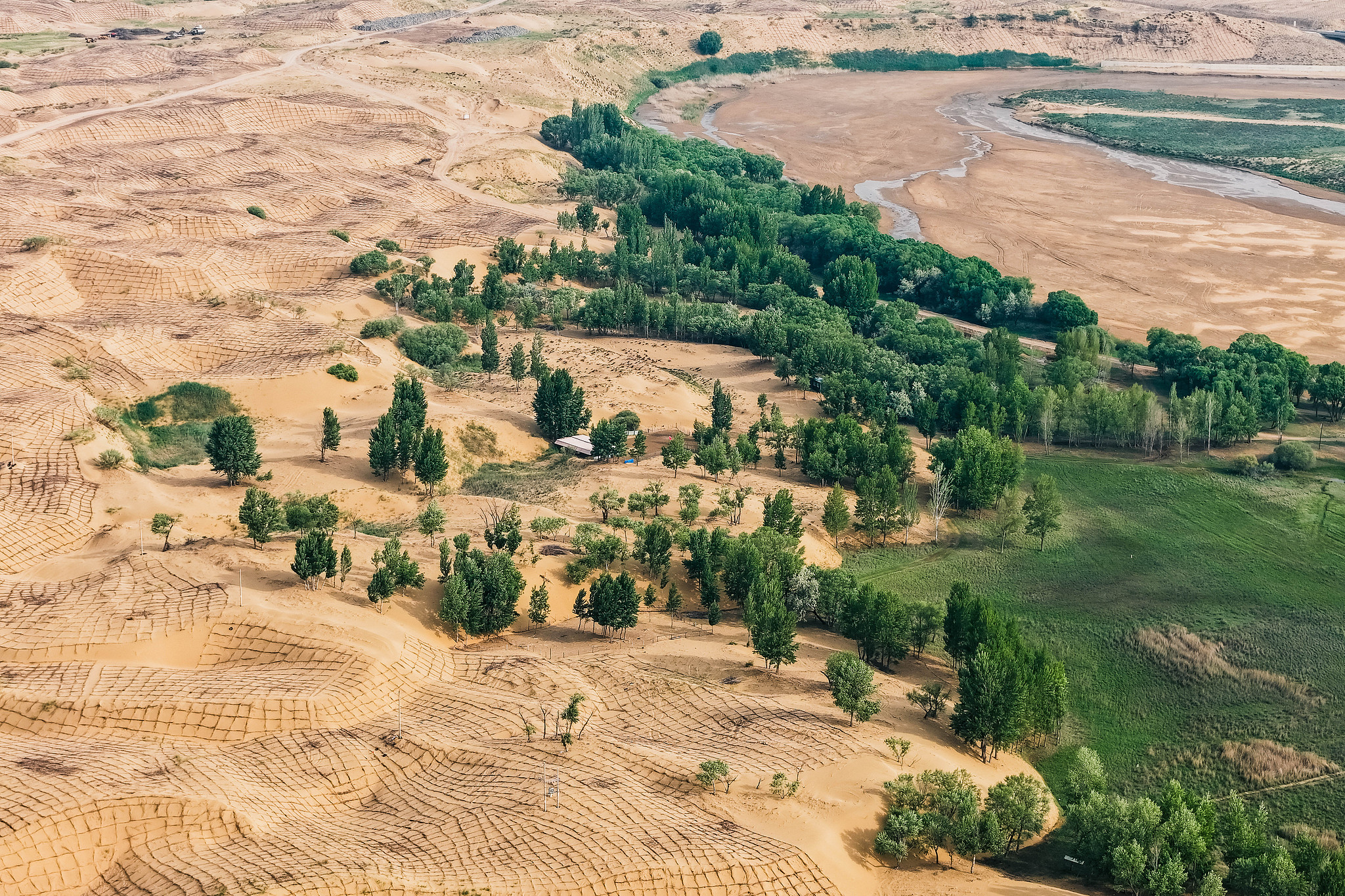 Grass grids and trees help restore the ecology of sandy gullies along the Yellow River in Ordos, Inner Mongolia Autonomous Region, north China, May 29, 2025. /VCG