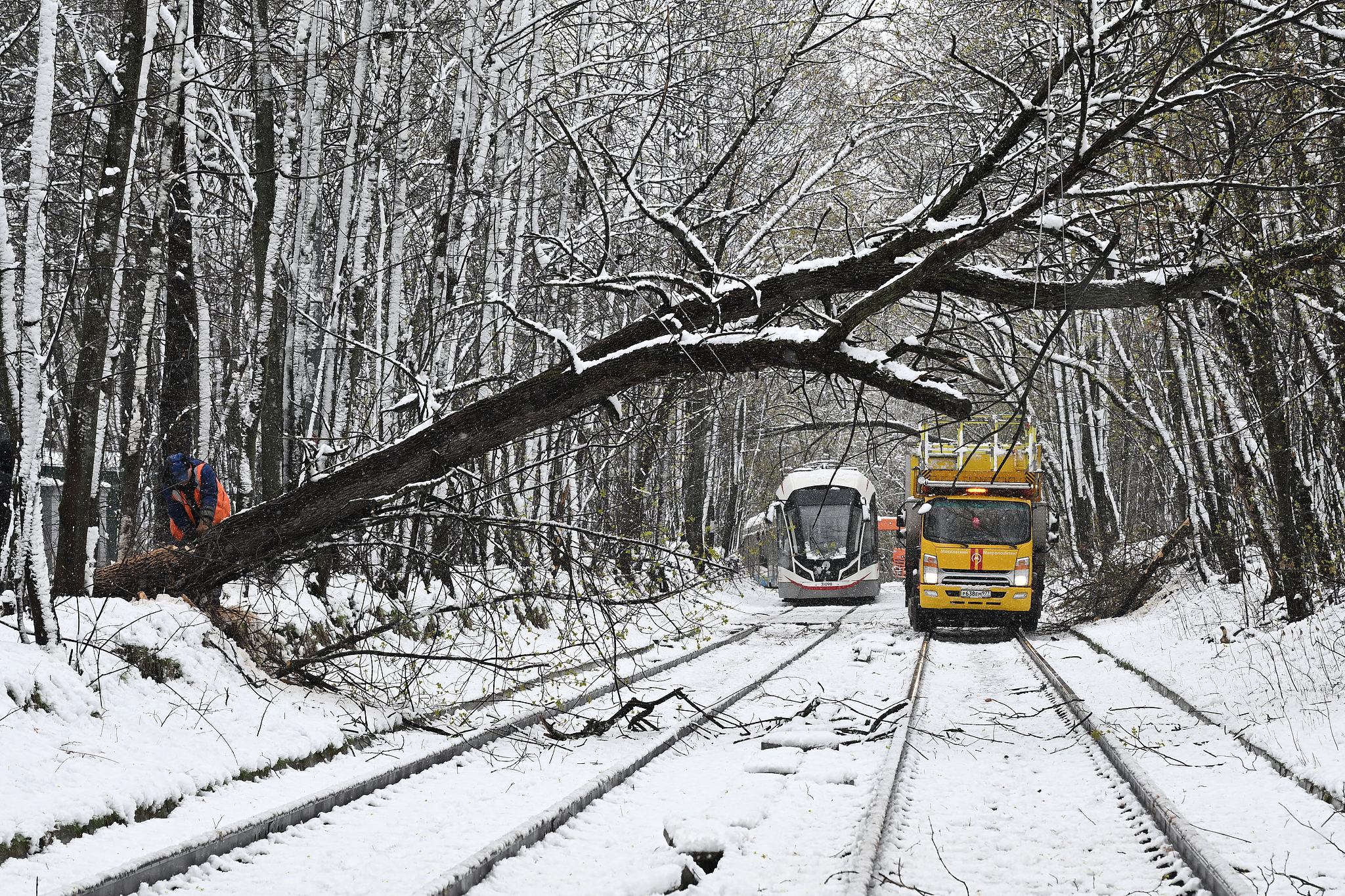 Municipal workers remove a fallen tree from tram tracks in Moscow, Russia, April 27, 2026. /VCG