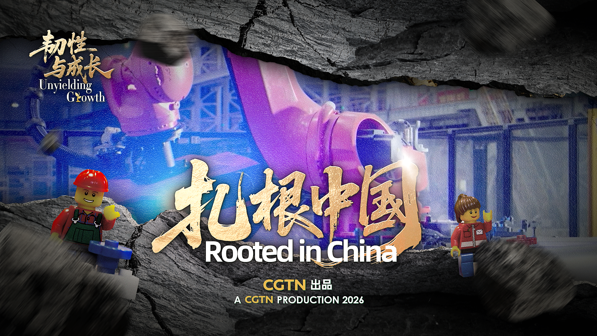 Watch: Unyielding growth – rooted in China: A win-win story