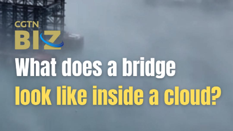 What does a bridge look like inside a cloud? - CGTN
