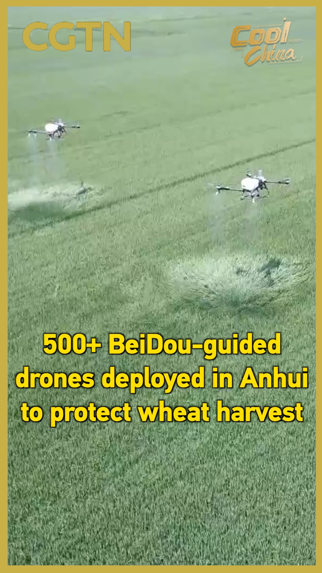 500+ BeiDou-guided drones deployed in Anhui to protect wheat harvest