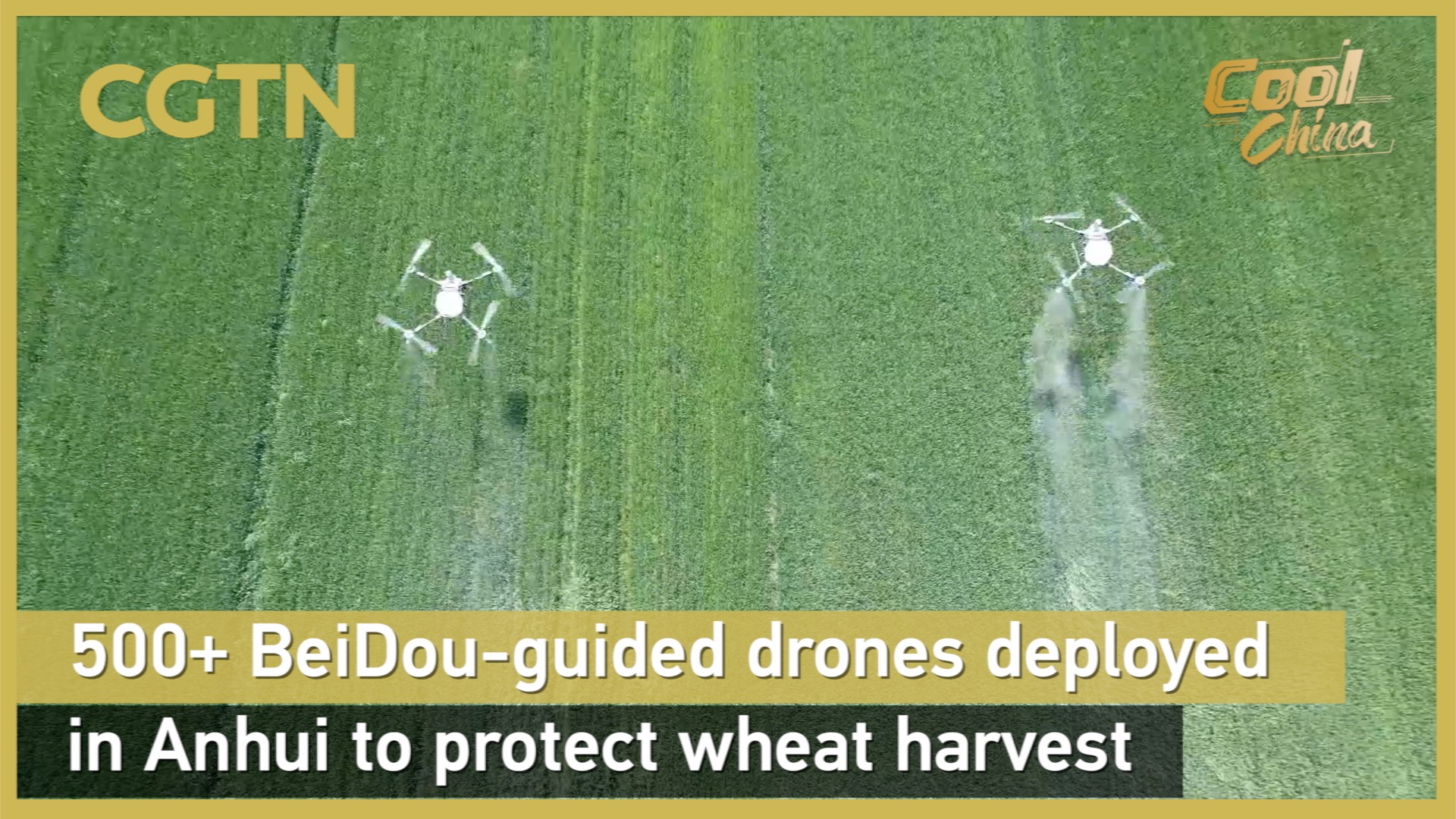 500+ BeiDou-guided drones deployed in Anhui to protect wheat harvest