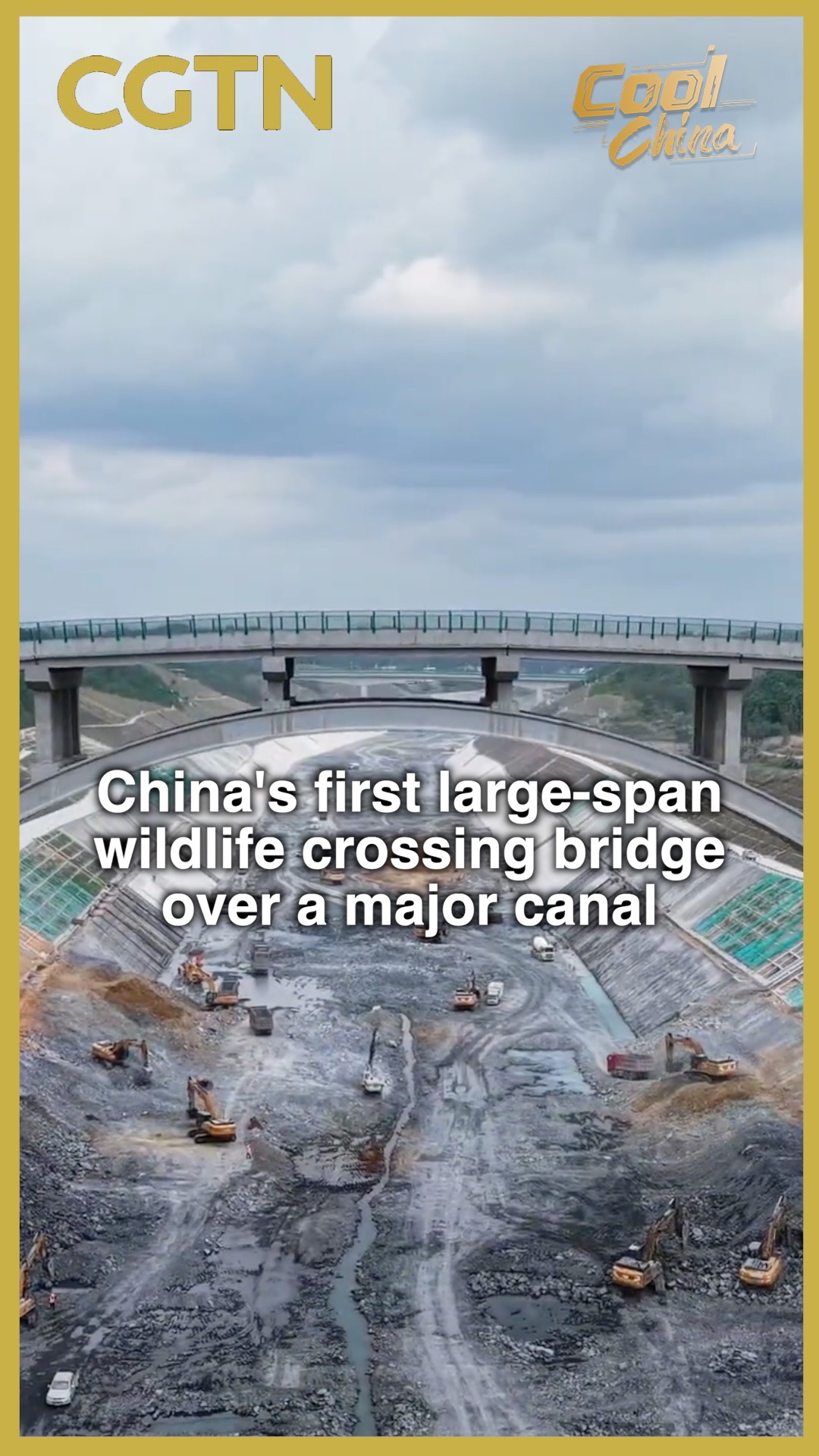 China's first large-span wildlife crossing bridge over a major canal