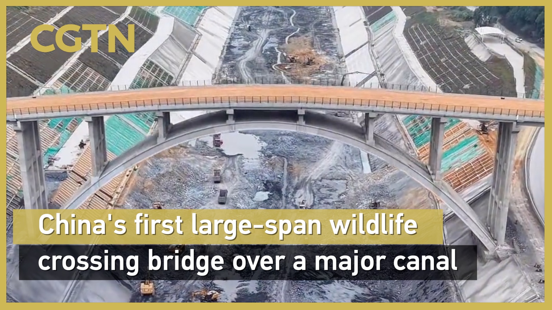 China's first large-span wildlife crossing bridge over a major canal