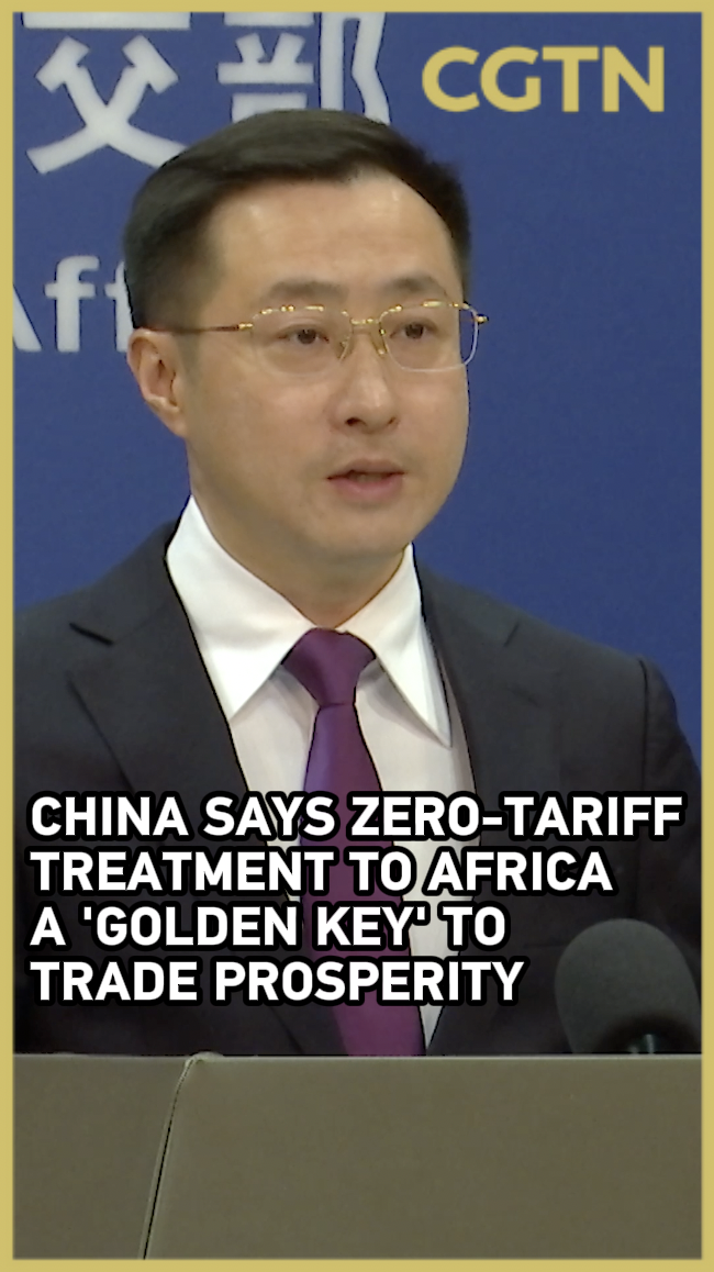 China zero-tariff to Africa: 'golden key' for trade