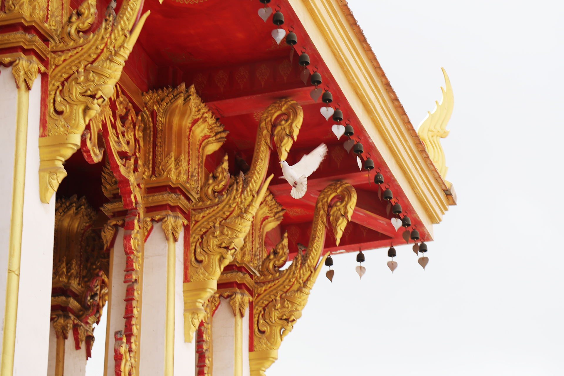 A view of the Thai-style Buddhist temple at White Horse Temple in Luoyang, Henan Province. /CGTN