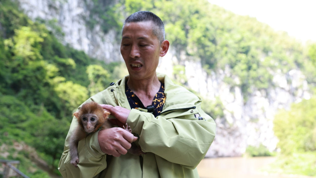 'Monkey Commander' to bid farewell to monkey reserve area