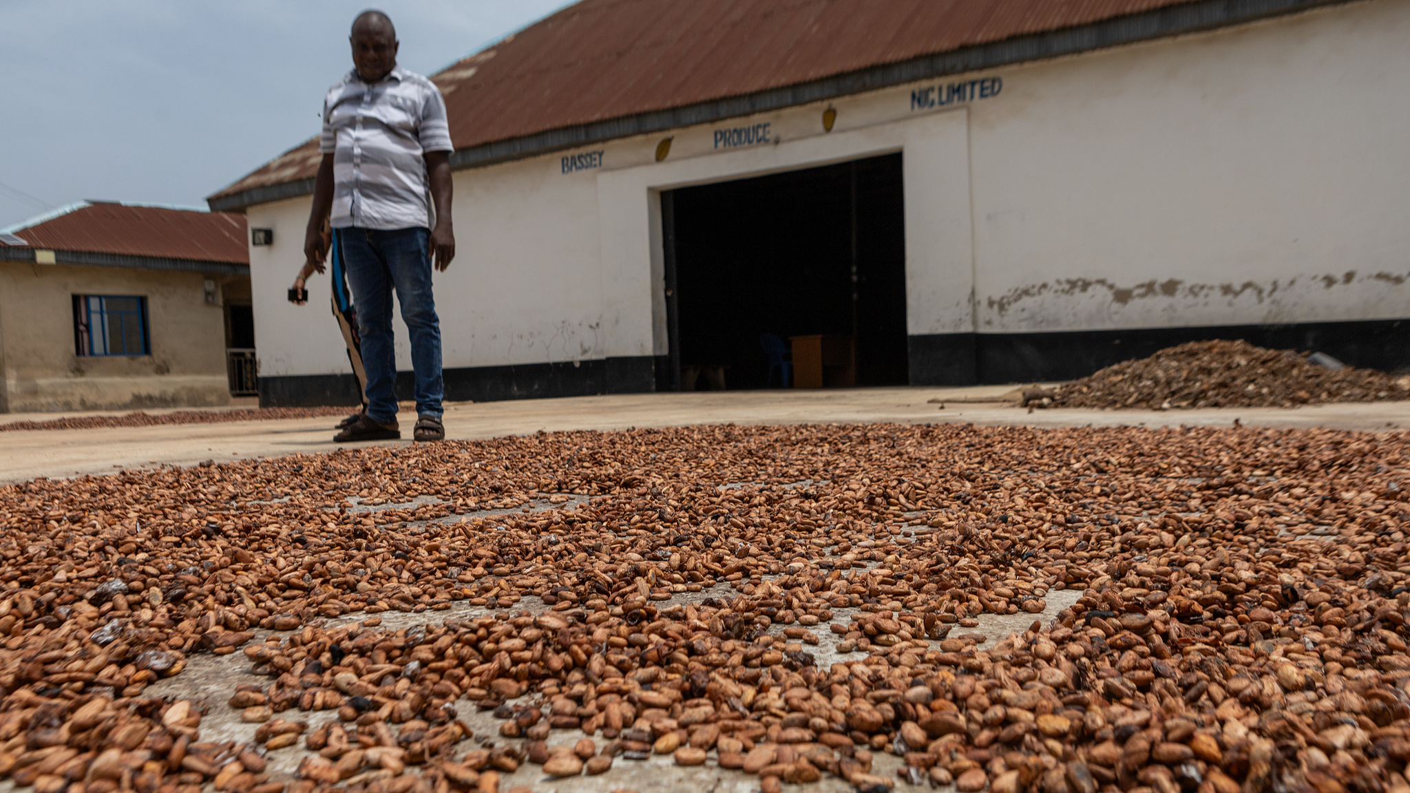 A worker at Bassey warehouse spreads cocoa beans for drying in Akure, Ondo State, Nigeria, April 20, 2026. /VCG