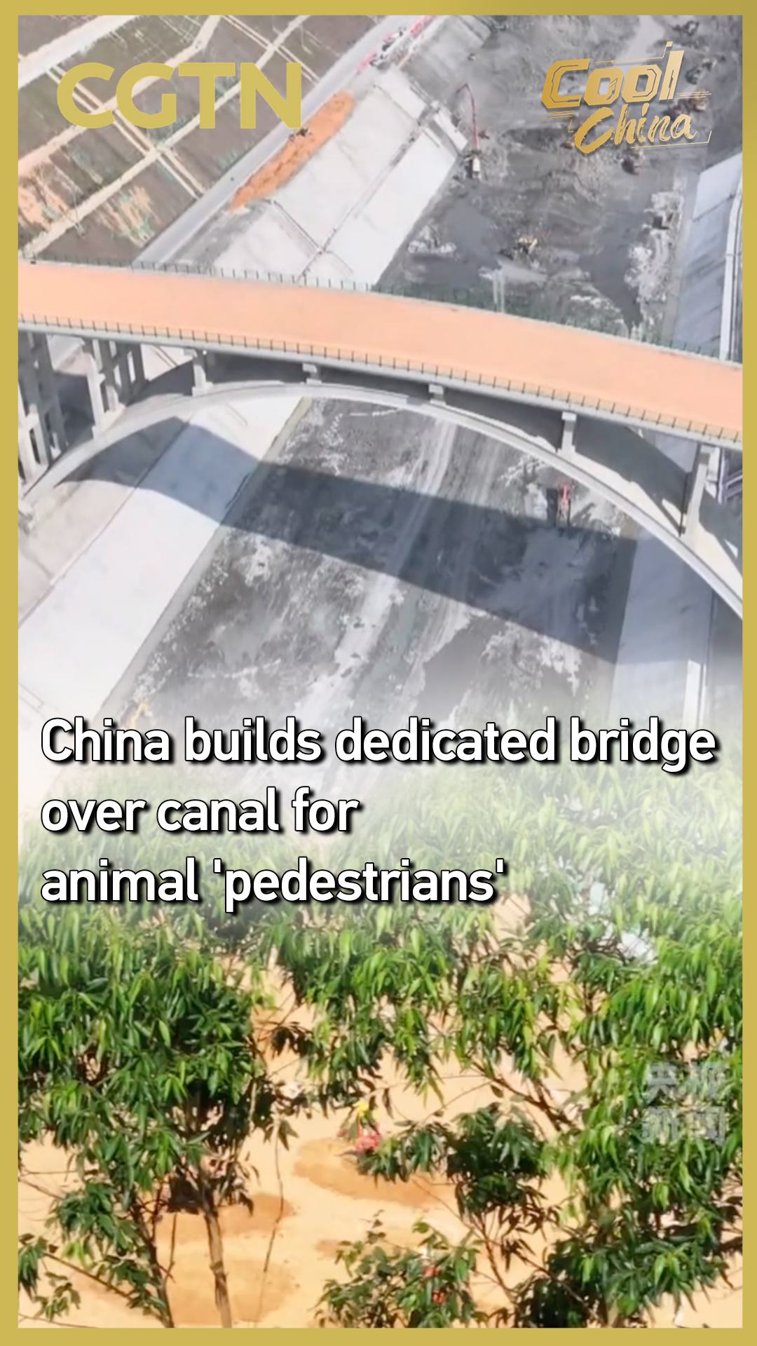 China builds dedicated bridge over canal for animal 'pedestrians'