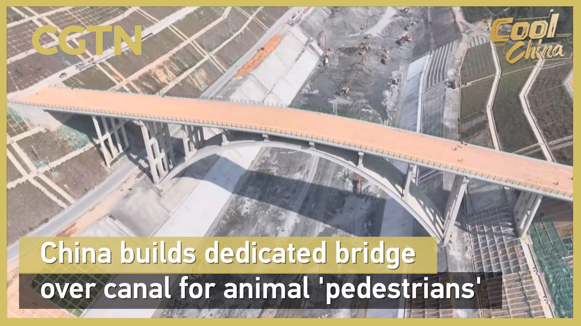 China builds dedicated bridge over canal for animal 'pedestrians'