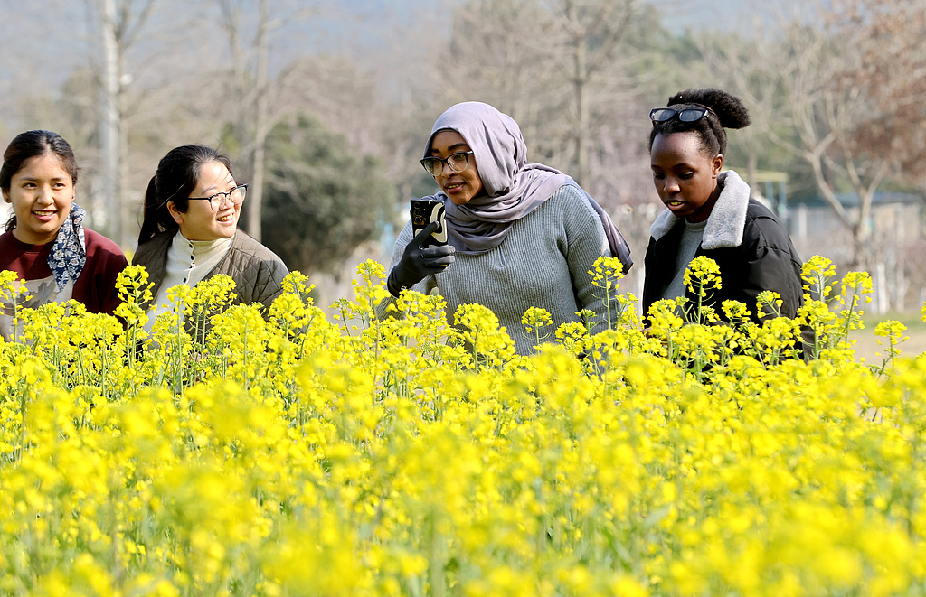 Foreign visitors enjoy a spring outing among rapeseed blossoms at Deqing County, Huzhou, China's Zhejiang Province, March 11, 2026. /CFP