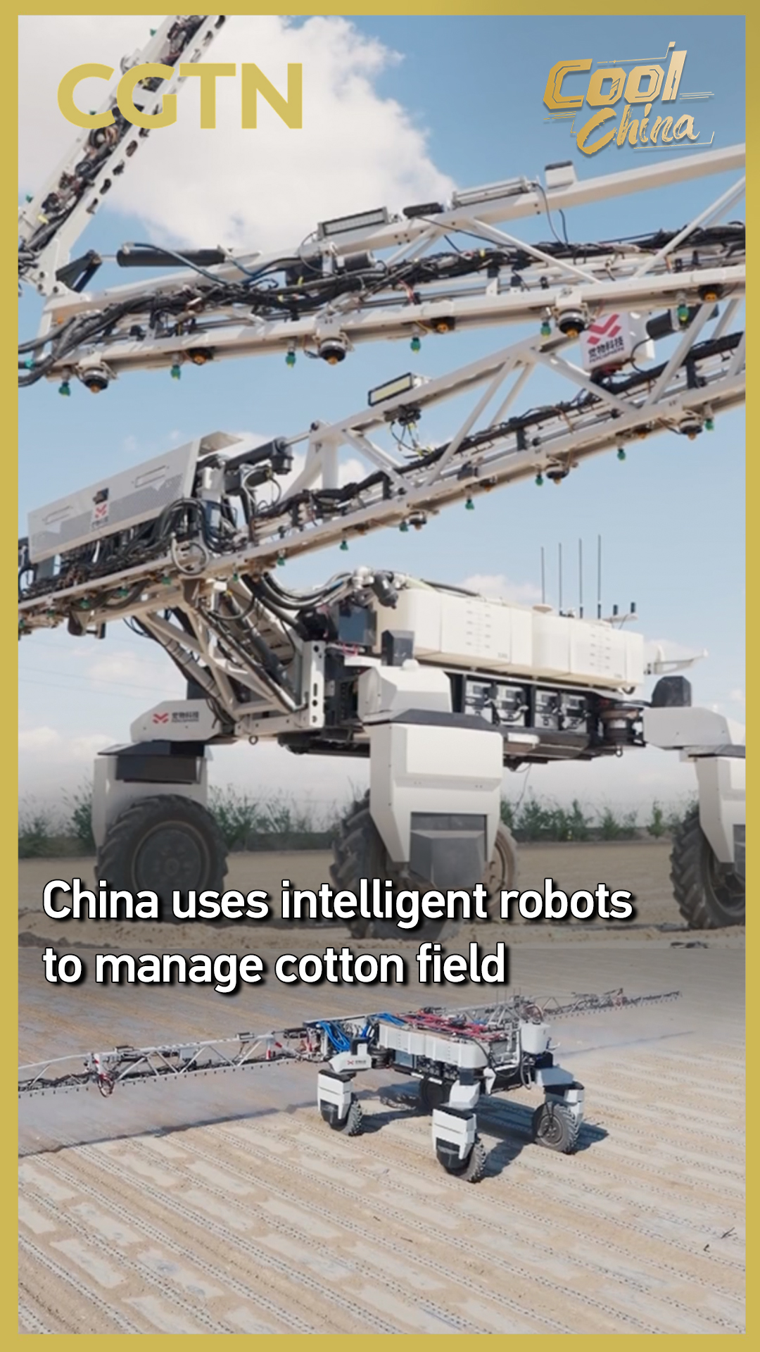 China uses intelligent robots to manage cotton field