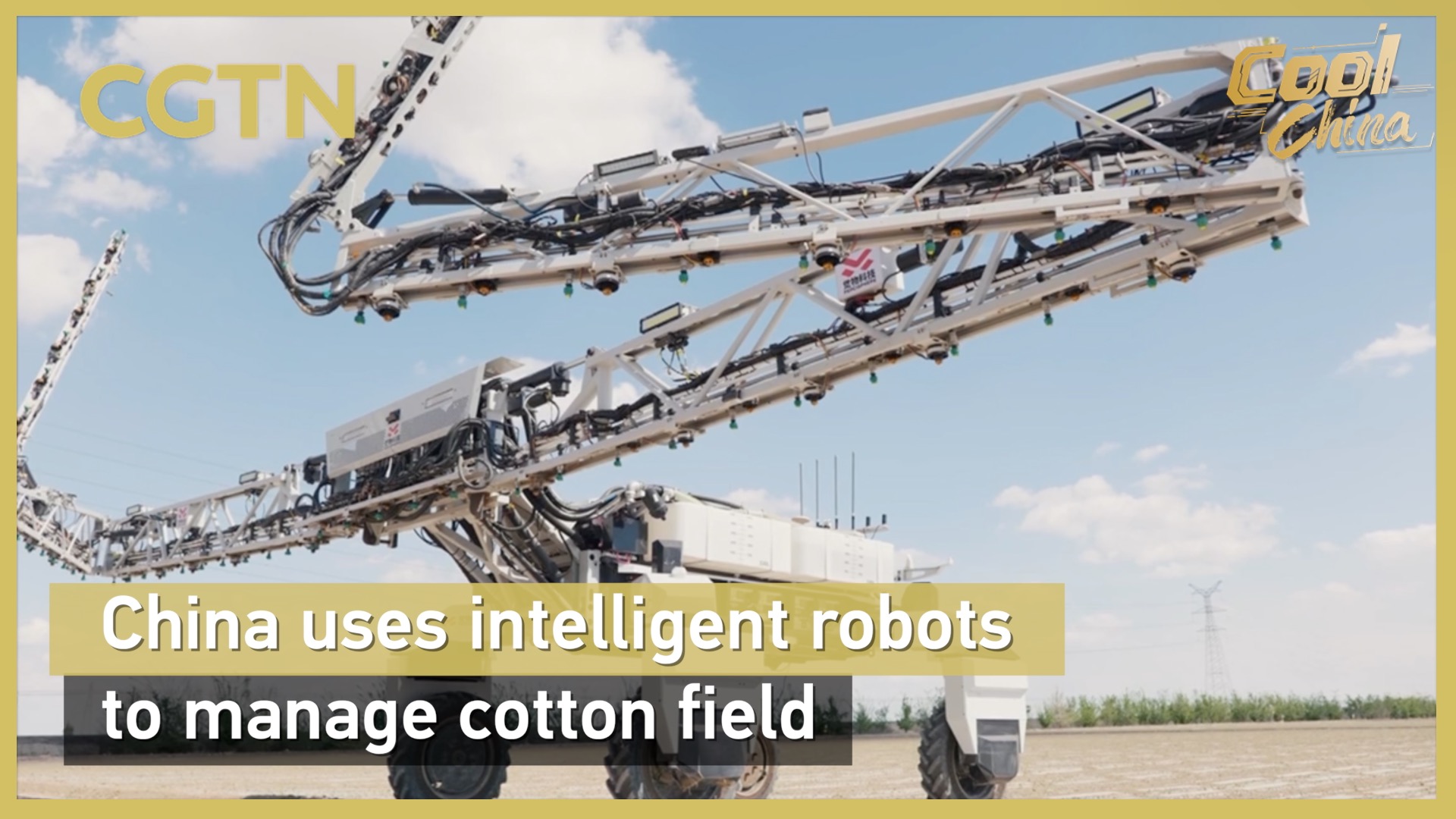 China uses intelligent robots to manage cotton field
