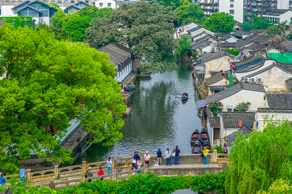 Chinaberry blossoms along a canal are seen from above in Shaoxing, Zhejiang Province on April 30, 2026. /VCG
