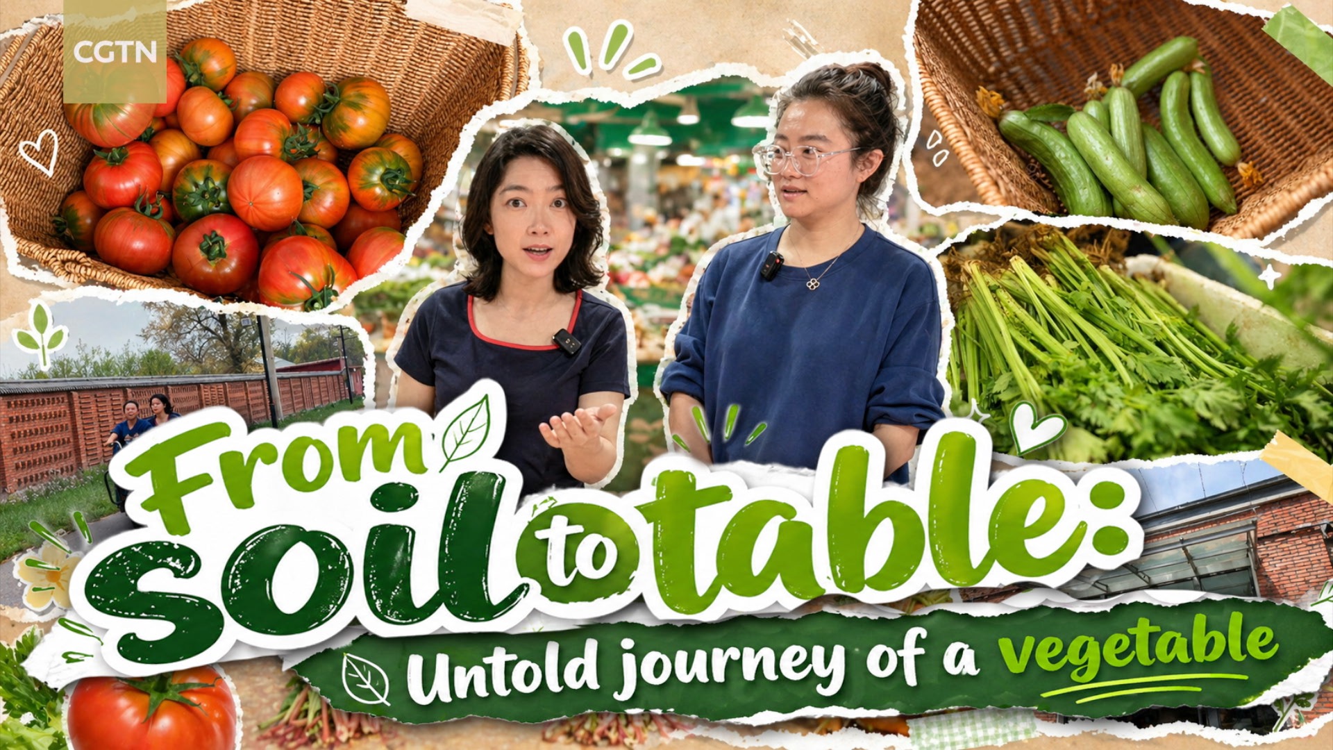 From soil to table: Untold journey of a vegetable