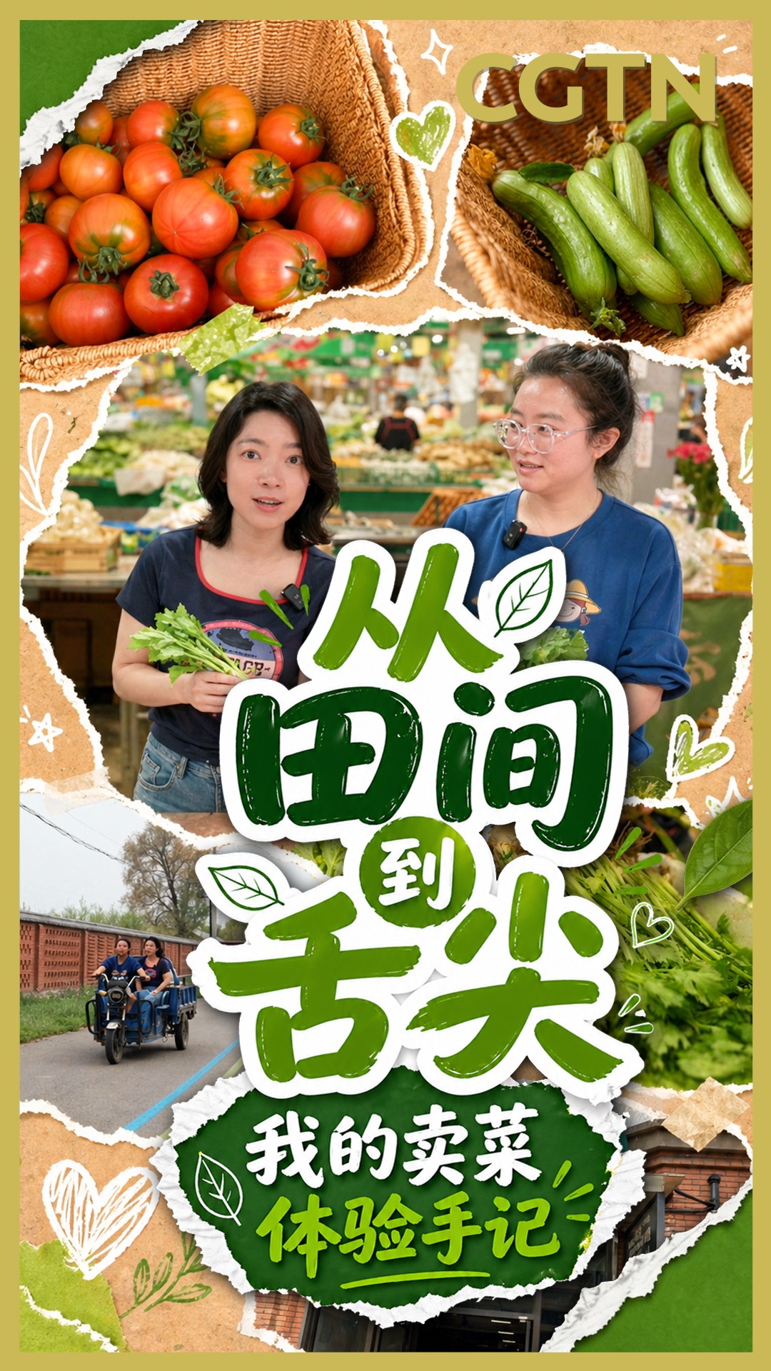 From soil to table: Untold journey of a vegetable