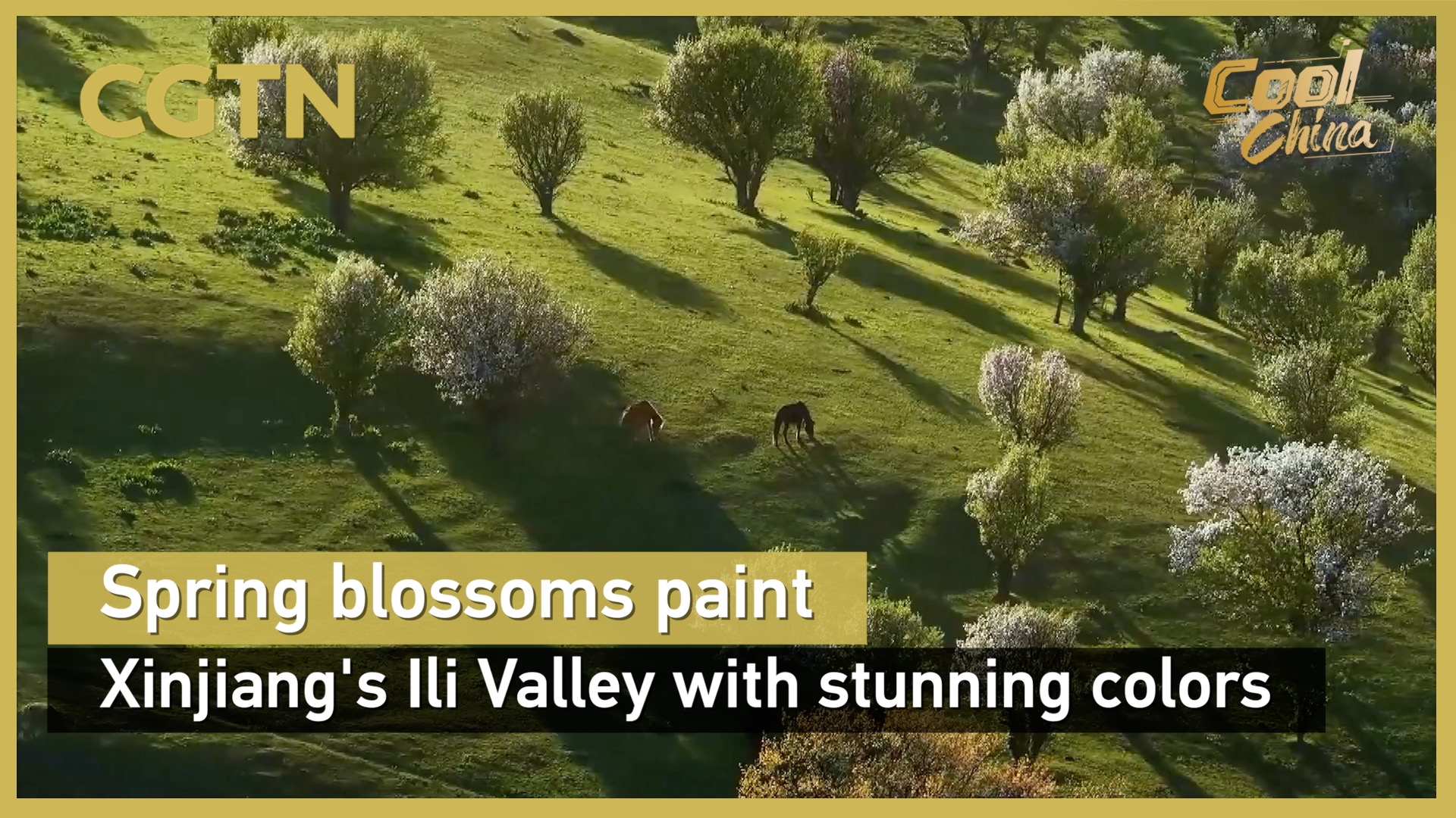 Spring blossoms paint Xinjiang's Ili Valley with stunning colors