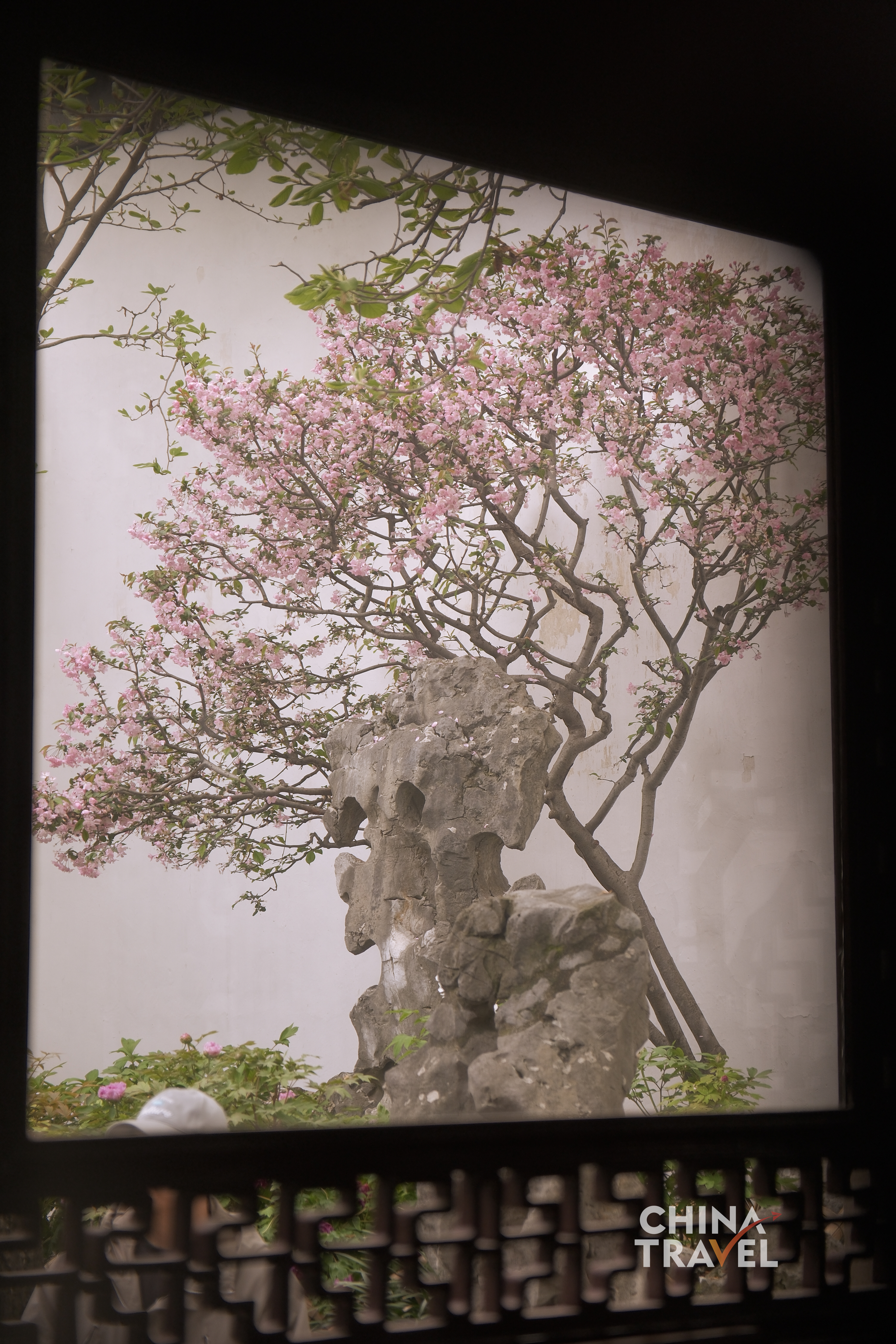 Framed by windows, corridors and doorways, views in the garden are revealed in layers rather than all at once. /CGTN