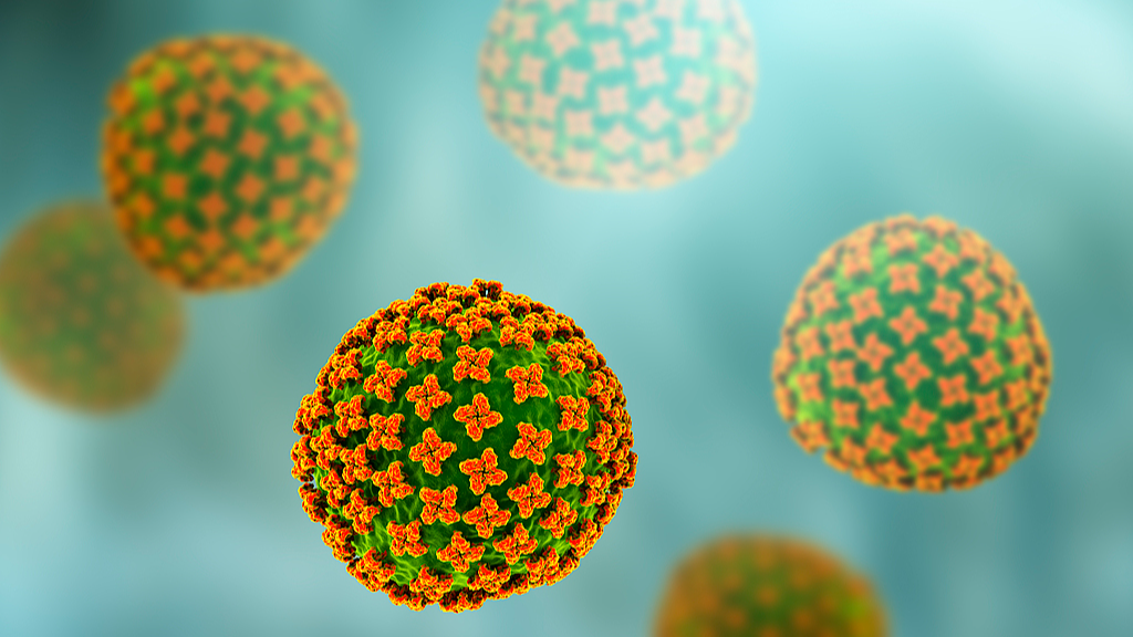 Hantavirus particles. /VCG
