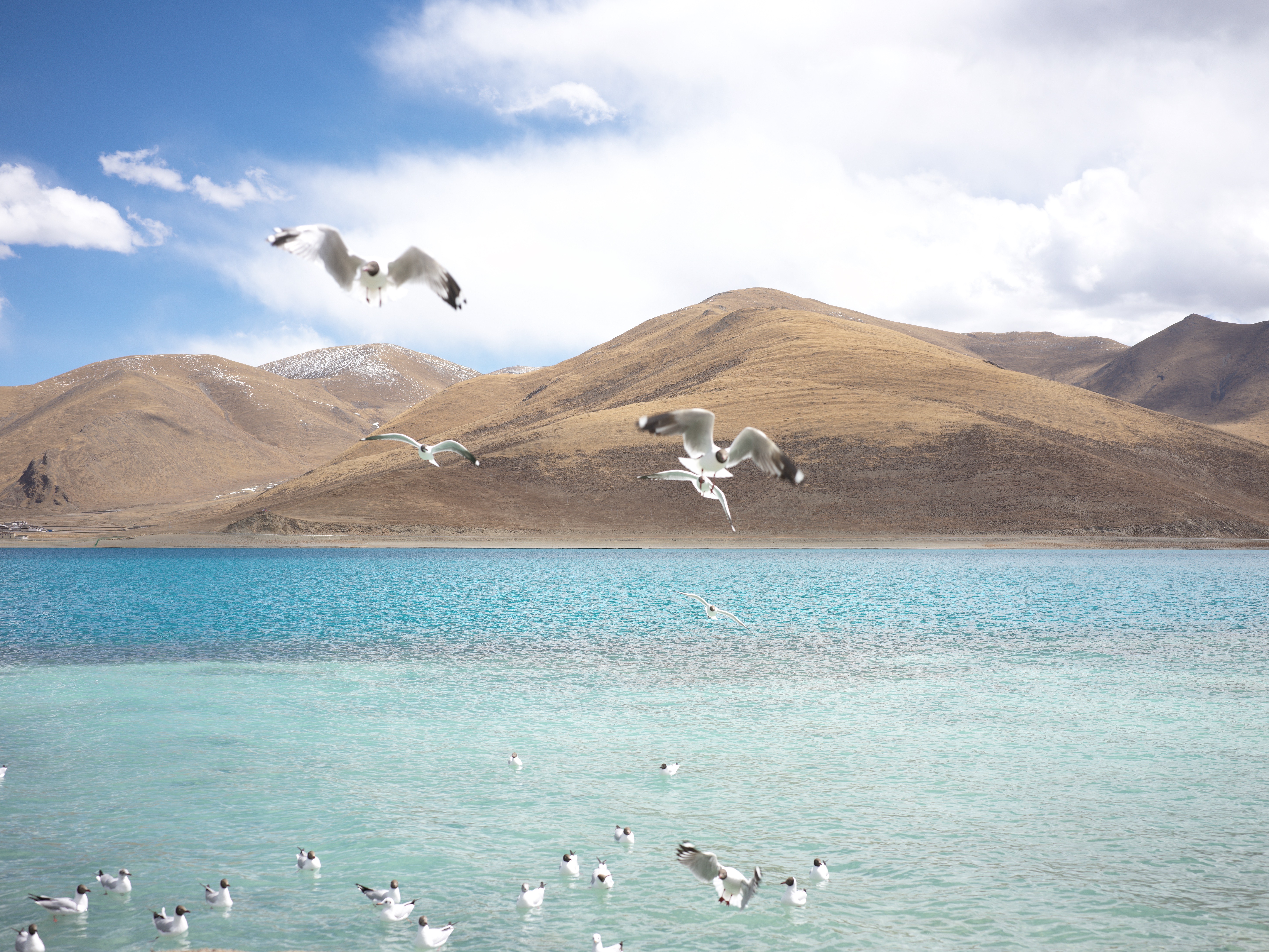 A lake along the journey: Yamdrok in film