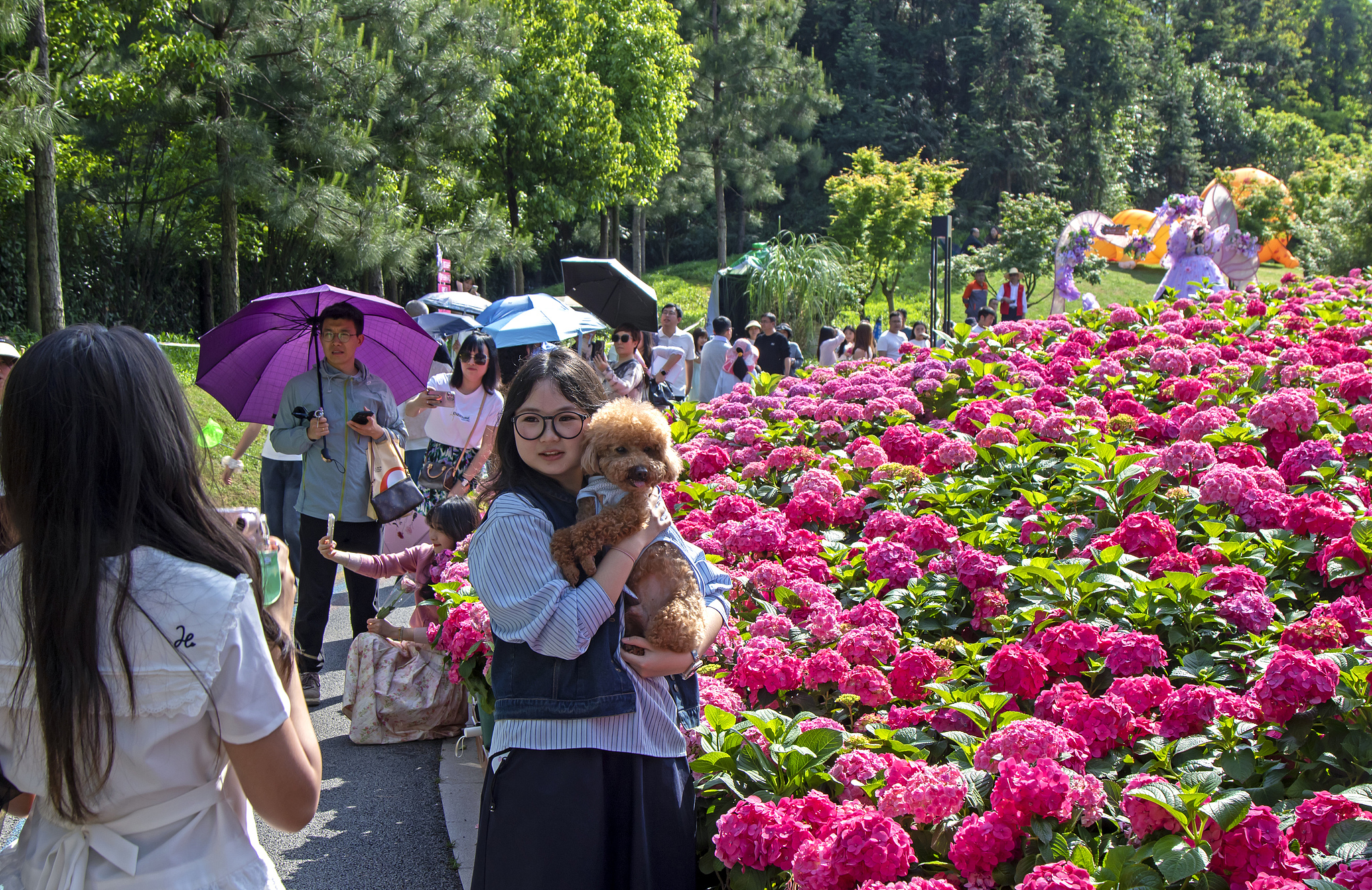 People enjoy flowers in a park in Enshi City, central China's Hubei Province, May 4, 2026. /VCG