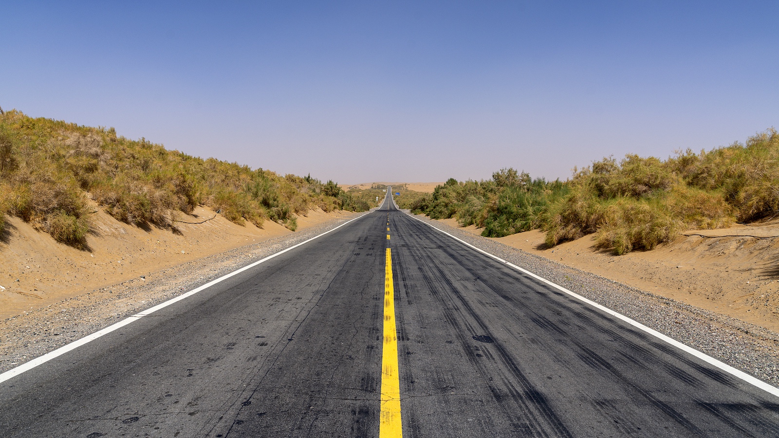 Desert highway shelterbelt restored in NW China's Xinjiang