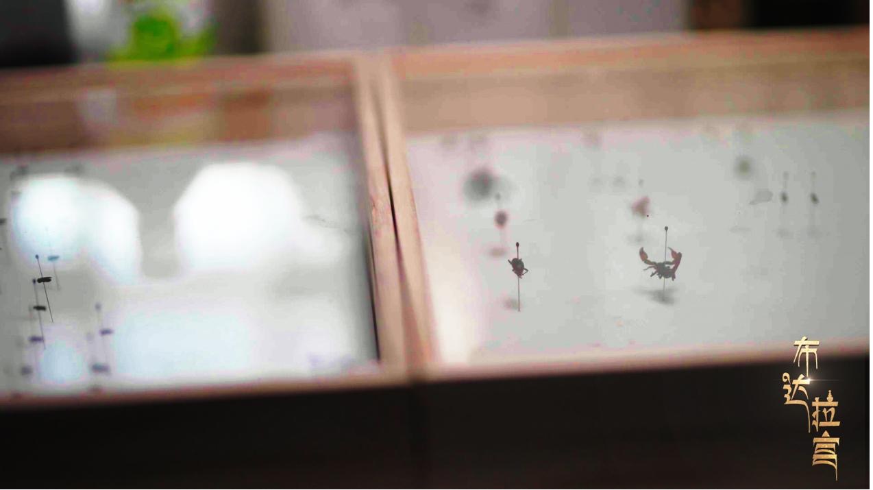 Technology powers heritage conservation: Potala Palace defeats pests