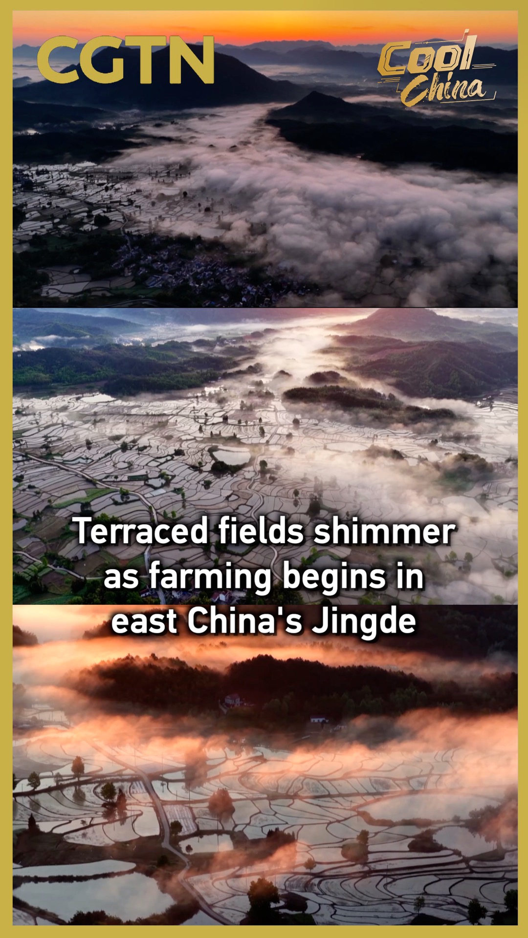 Terraced fields shimmer as farming begins in east China's Jingde