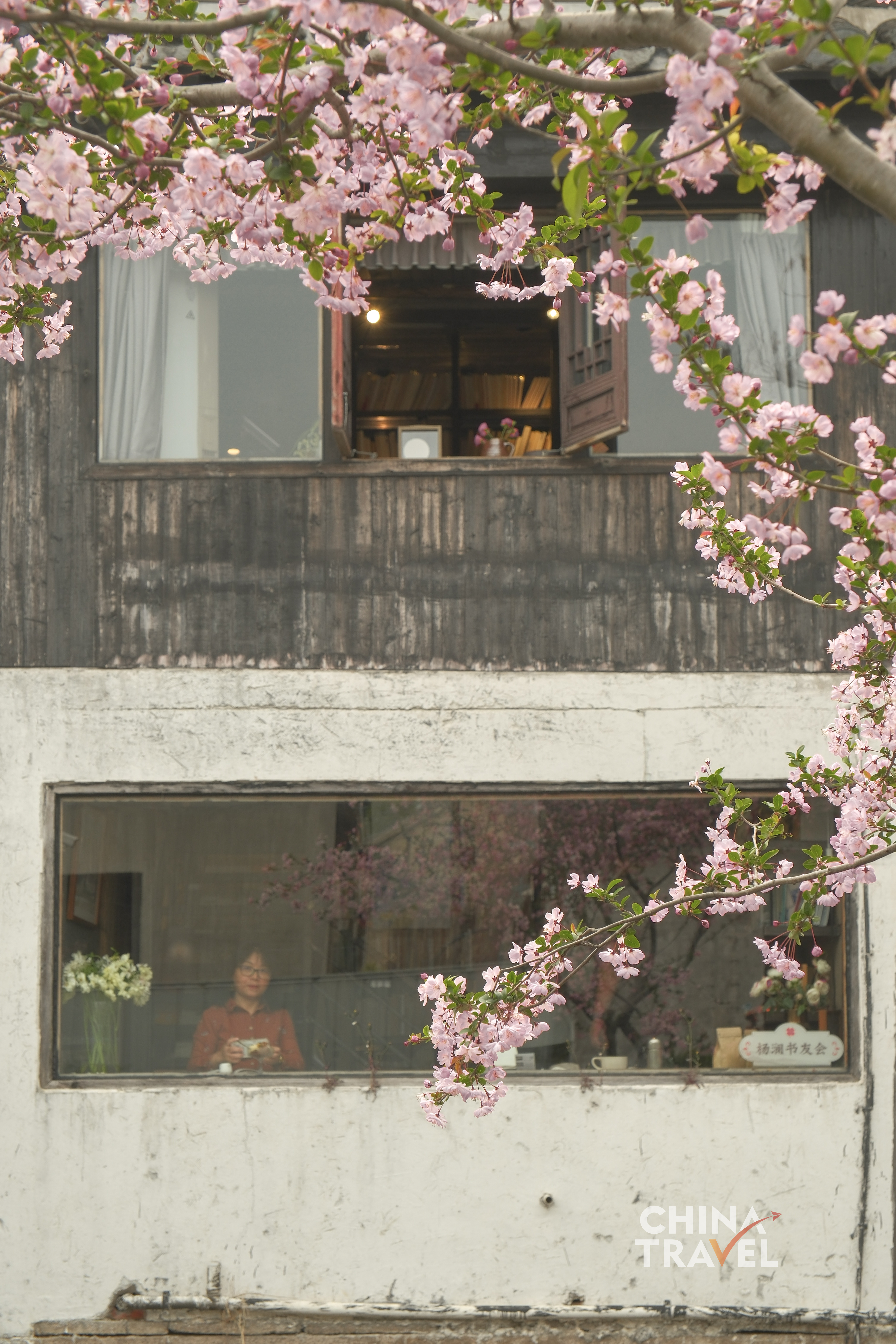 Spring has brought blossoms to Xiemaqiao, adding a gentle warmth to the water town. /CGTN