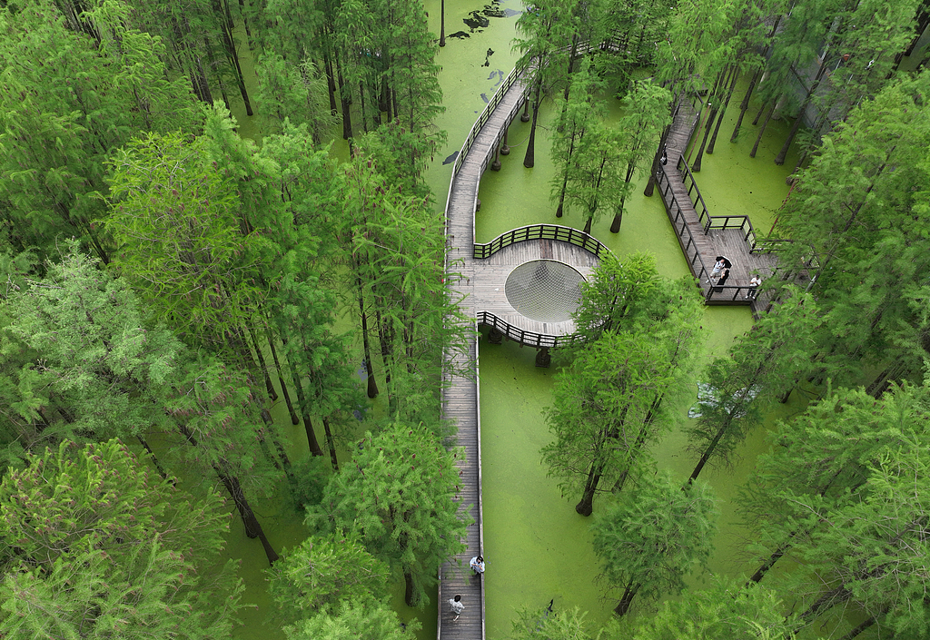 Visitors walk along a boardwalk above the water in Hangzhou, Zhejiang Province on May 7, 2026. /VCG
