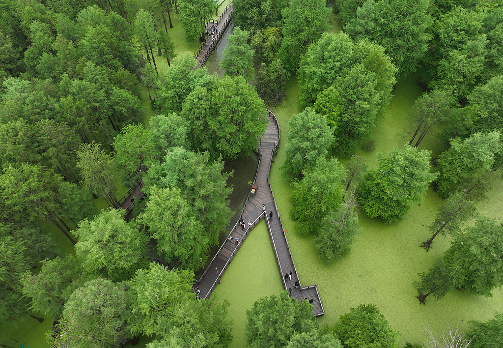 Visitors walk along a boardwalk above the water in Hangzhou, Zhejiang Province on May 7, 2026. /VCG