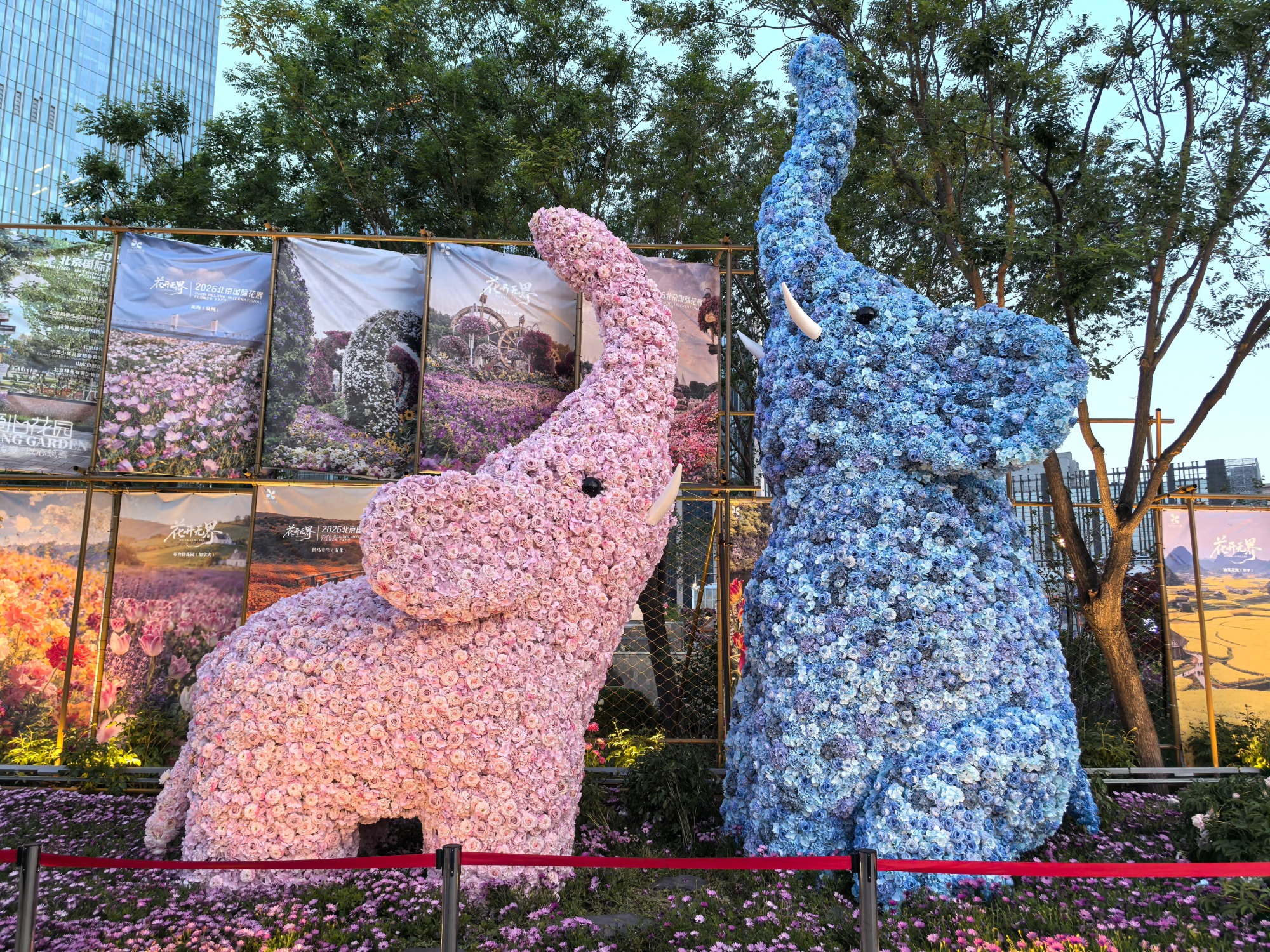 A floral display of the 2026 Beijing International Flower Show is seen in Beijing on May 4, 2026. /CGTN