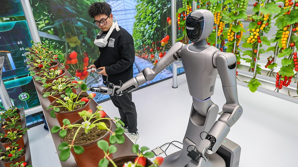 An agricultural robot performs tasks such as pollination and harvesting under the guidance of a trainer using virtual reality equipment and control handles, Zhengzhou, Henan Province, March 8, 2026. /VCG