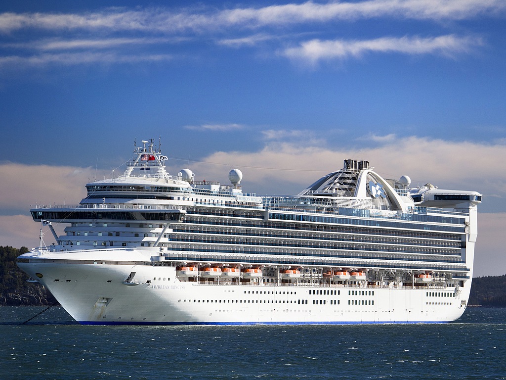 The Cruise Liner Caribbean Princess. /VCG