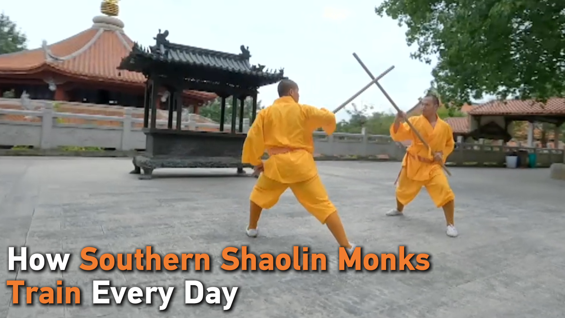 How Southern Shaolin monks train every day