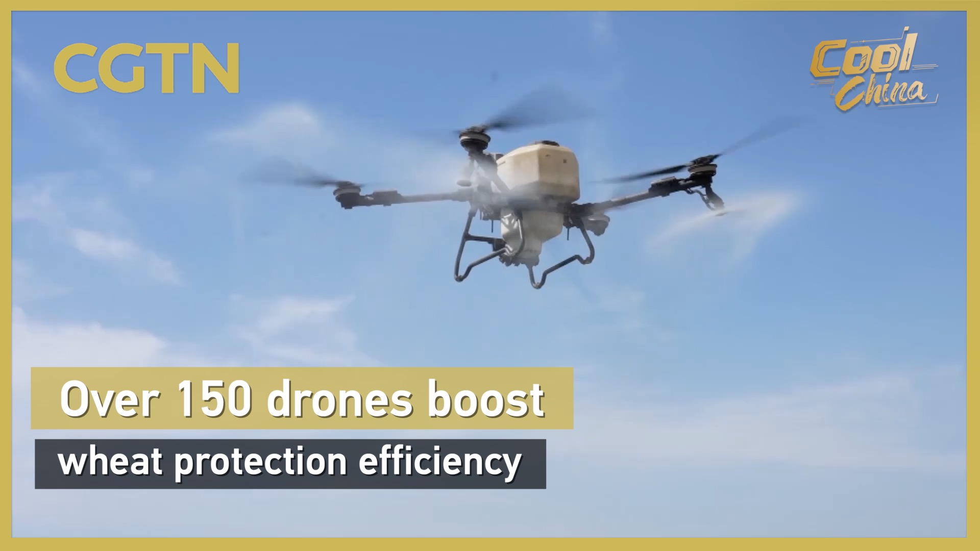 Over 150 drones boost wheat protection efficiency