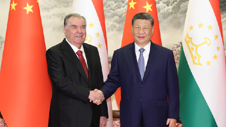 Chinese President Xi Jinping holds talks with Tajik president