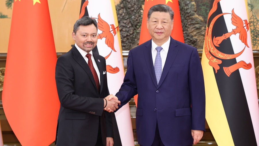 Chinese President Xi Jinping meets Brunei's crown prince in Beijing
