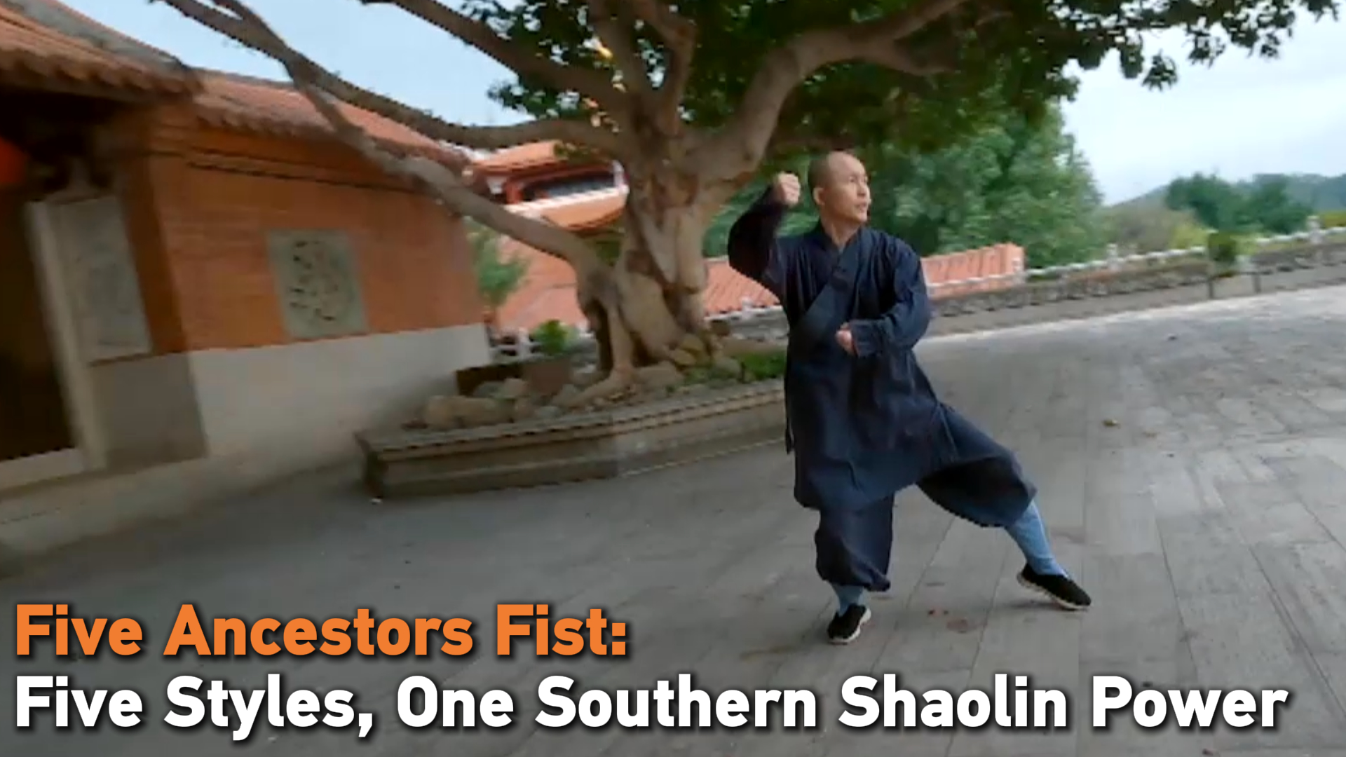 Five Ancestors Fist: Five styles, one southern Shaolin power