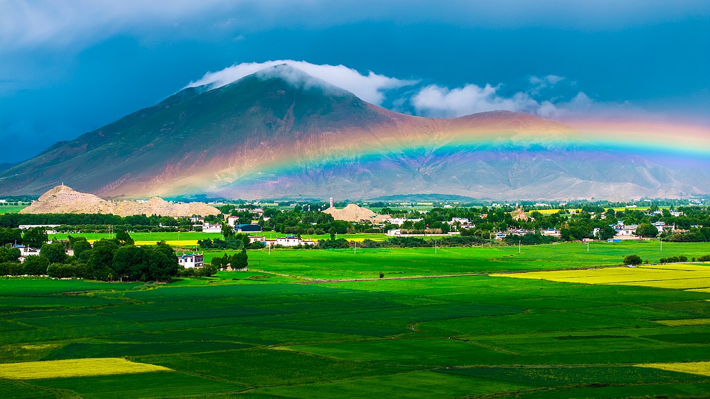 A rainbow stretches over the highland barley fields in Gyantse County, Xigaze City in southwest China's Xizang Autonomous Region, July 4, 2025. /VCG