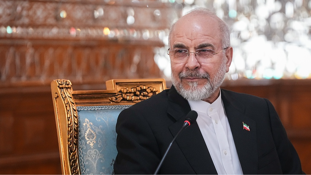 Iran's parliament speaker says 'no alternative' to 14-point proposal