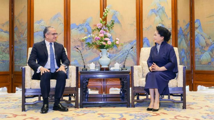 Peng Liyuan meets UNESCO chief in Beijing