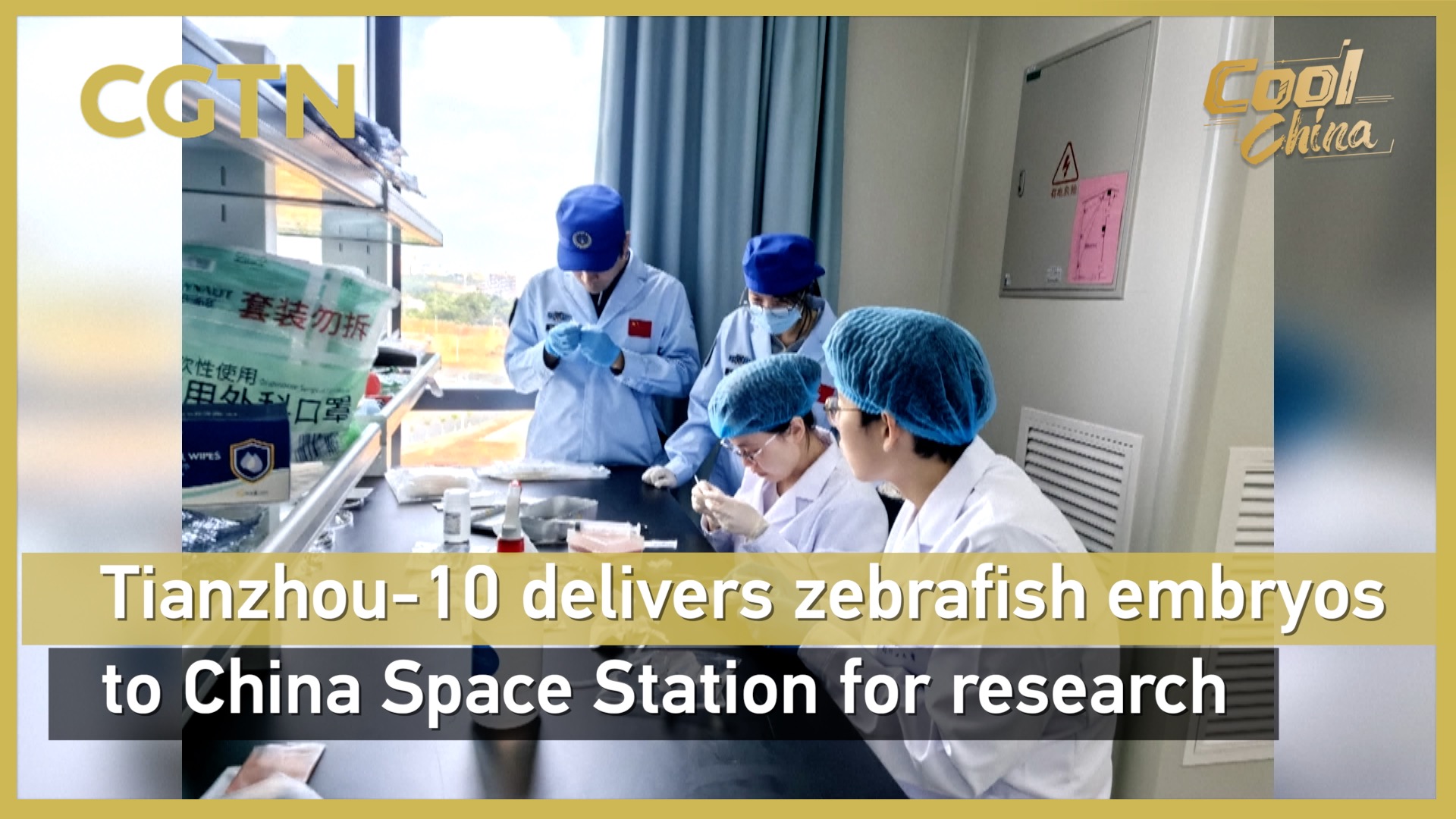 Tianzhou-10 delivers zebrafish embryos to China Space Station