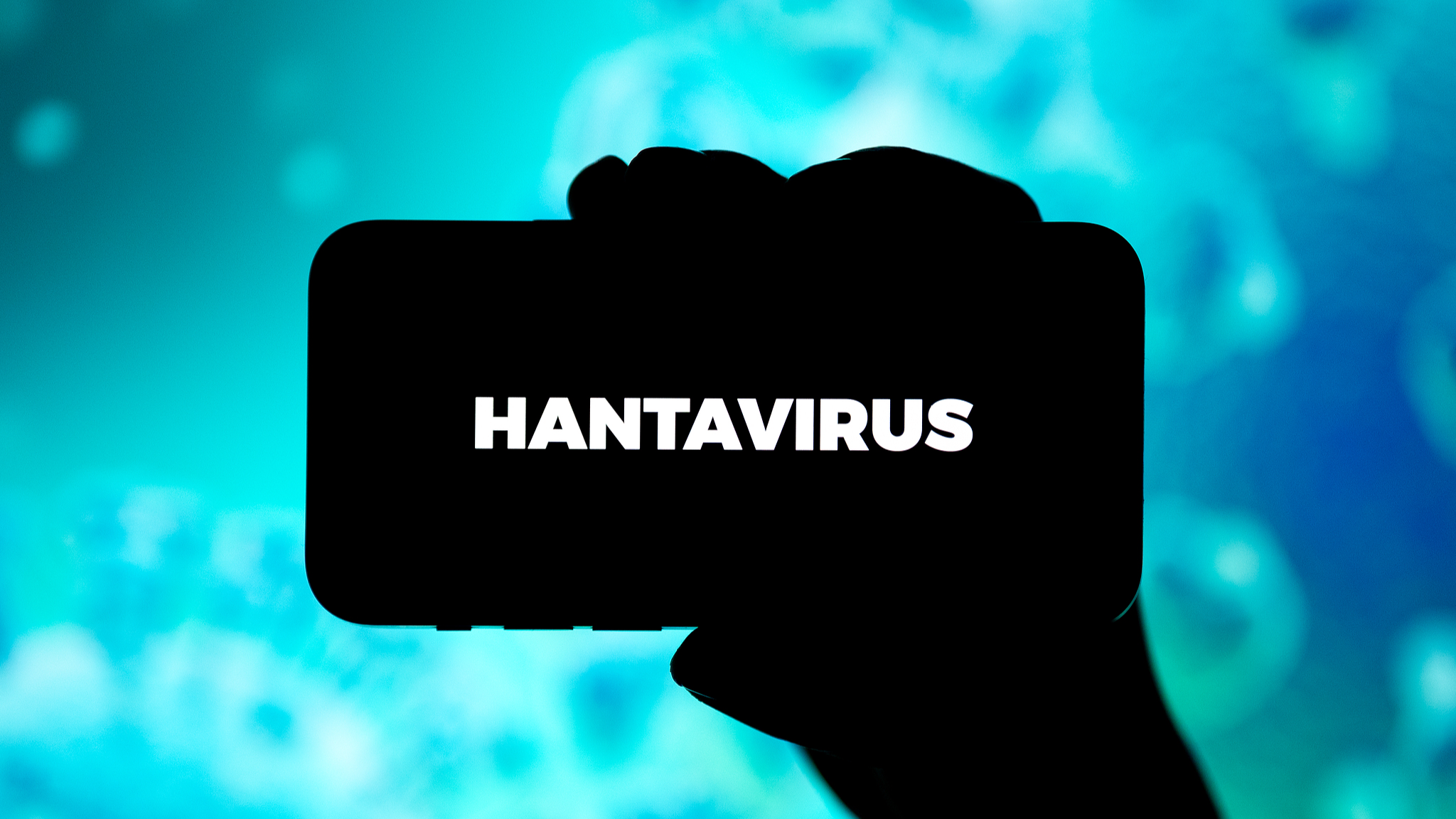 What does the MV Hondius outbreak tells us about hantavirus?
