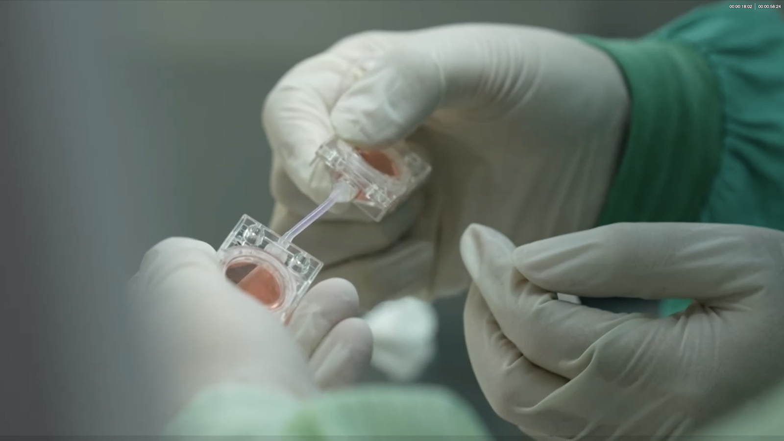 Human artificial embryo samples. /China Media Group