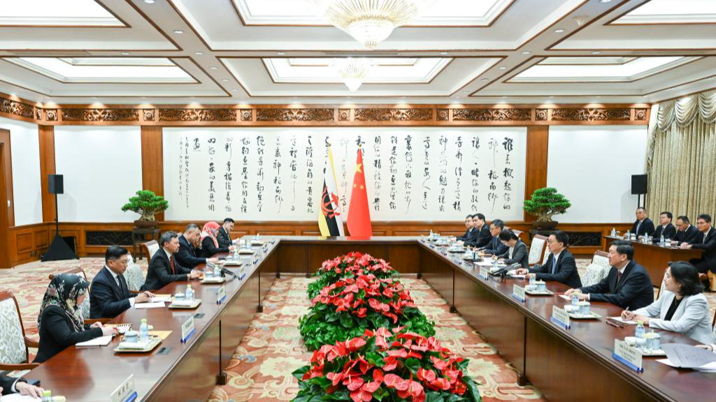 China seeks stronger shared-future ties with Brunei