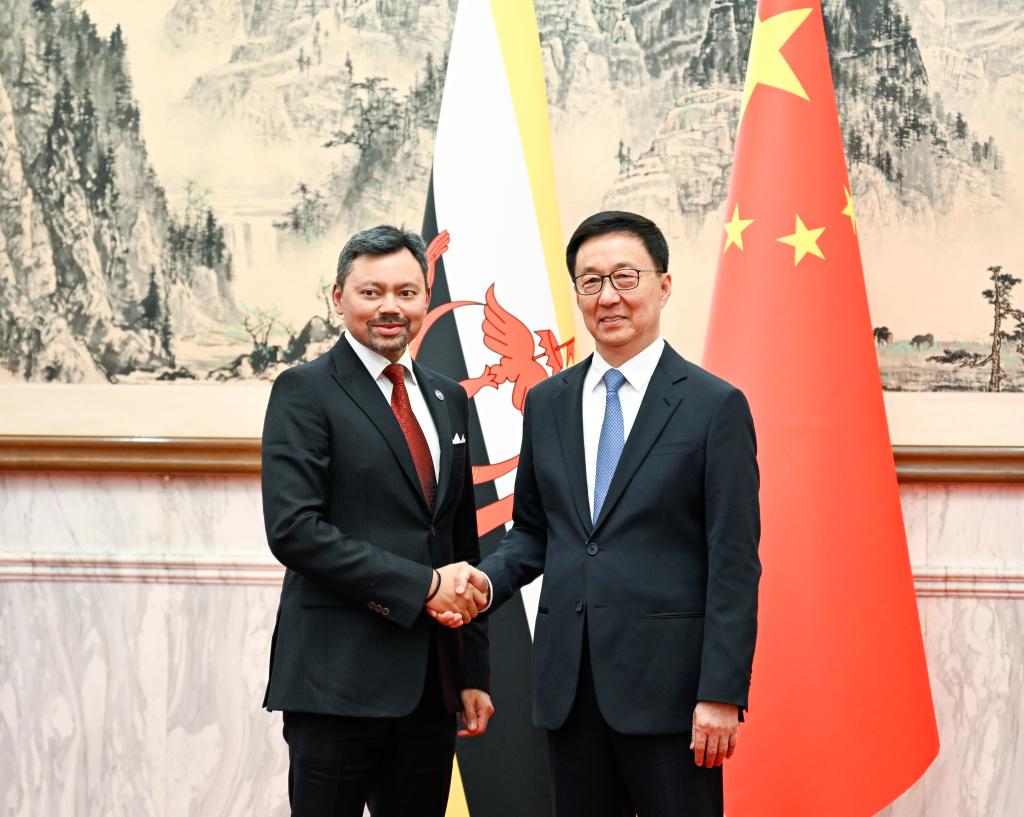 Chinese Vice President Han Zheng holds talks with Haji Al-Muhtadee Billah, the Crown Prince and Senior Minister at the Prime Minister's Office of Brunei Darussalam, Beijing, capital of China, May 12, 2026. /Xinhua