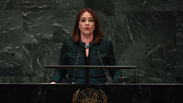 Former UN General Assembly president Espinosa runs for next UN chief