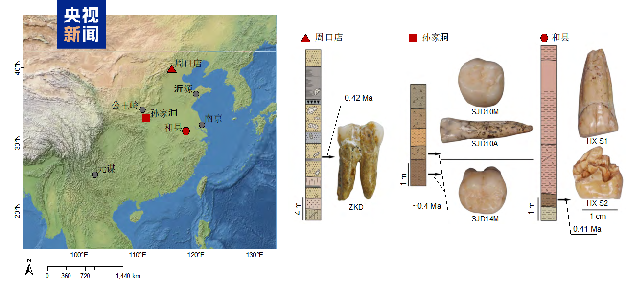 Geographic locations of Middle Pleistocene Homo erectus sites in China and sample information used in this study. /CMG