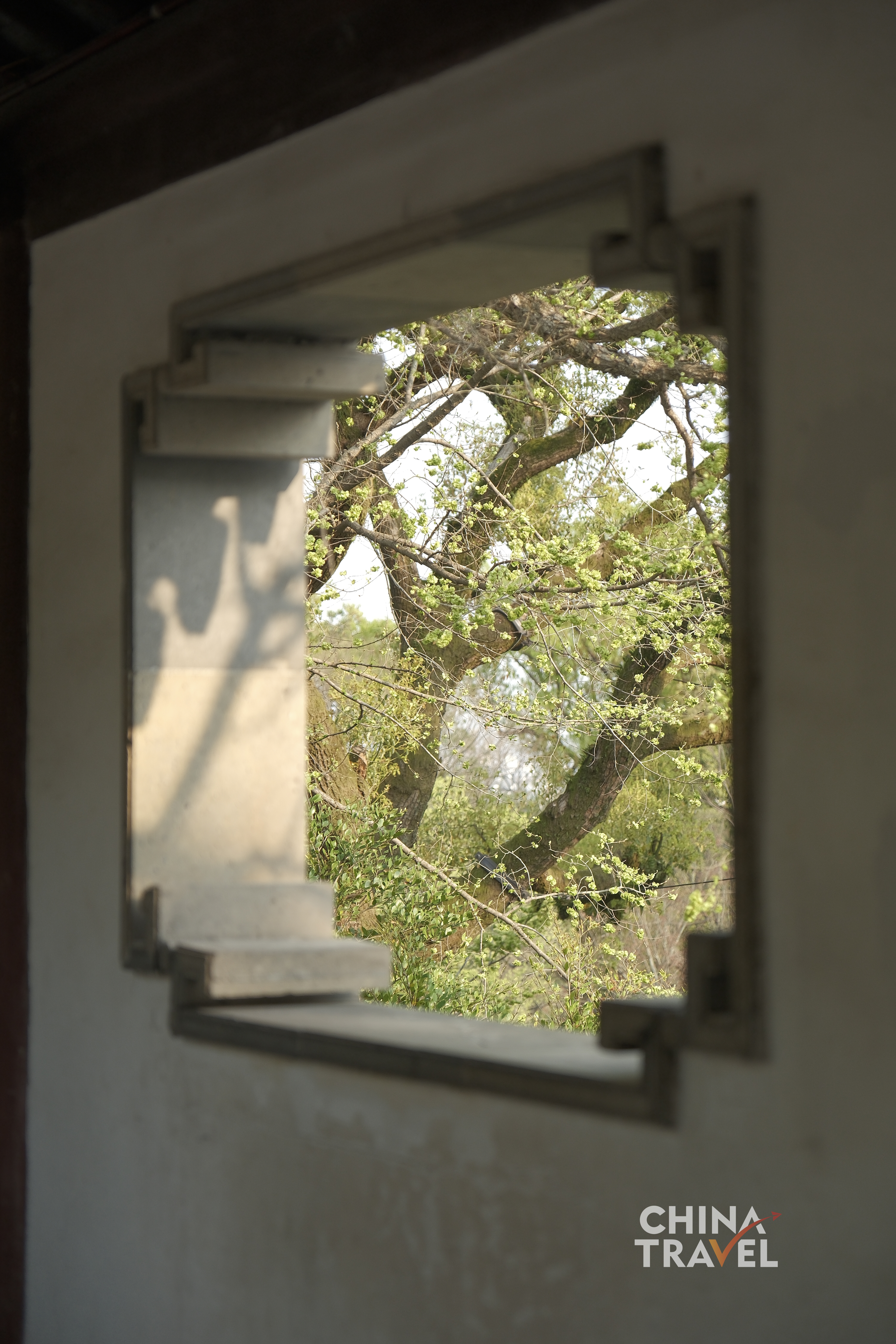 Geometric windows frame the garden into composed scenes, turning nature into a series of living pictures. /CGTN
